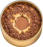 Nutella Crunch tin